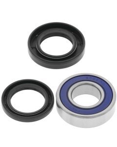 QuadBoss Lower Steering Bearing Kit - 53251460