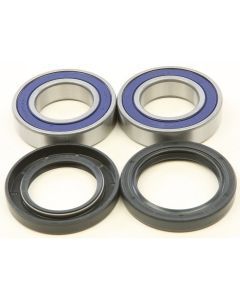 NEW ALL BALLS WHEEL BEARING AND SEAL KIT 25-1726