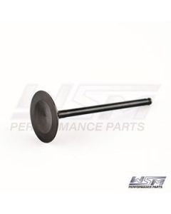 WSM Intake Valve for Yamaha 225 - 350 Hp 3.3 / 5.3L 4-Stroke 05-11 120-224