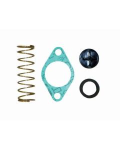 WSM Poppet Valve Kit for Yamaha 90 / 225 Hp 785-200