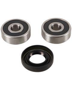LION_PWRWK-Y29-001-PIVOT-WORKS-1225-A
