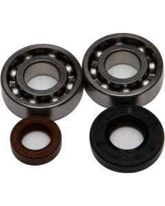 All Balls Crank Bearing And Seal Kit 24-1101