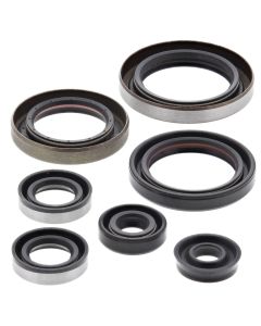 Vertex Oil Seal Kit 822186