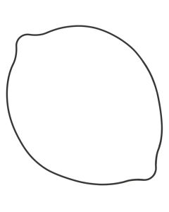 Vertex Outer Clutch Gasket Kit 817521