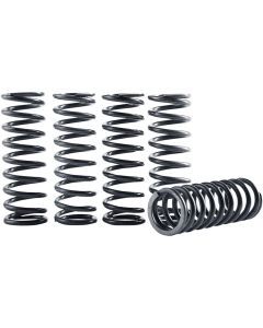 HINSON CLUTCH COMPONENTS CS294-5-0109 CLT SPRN KT HIGH TMP ST 5