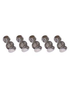 Flap Clamp Bolt Kit - 8 mm - (5 count)