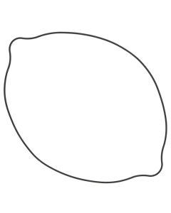 Vertex Outer Clutch Gasket Kit 817514