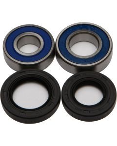 NEW ALL BALLS WHEEL BEARING AND SEAL KIT 25-1023