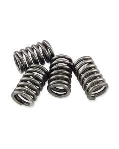 EBC Clutches CSK Clutch Spring Kits for Honda GL 1100 A Goldwing Aspencade 82-83