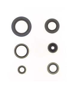 Athena Engine Oil Seal Kit P400270400101