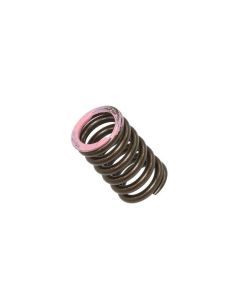 Intake Valve Spring XU-09565IS