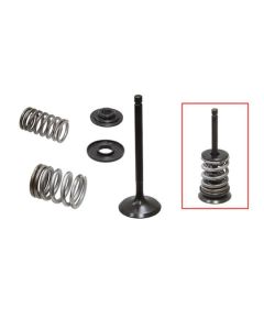 Psychic Products Psychic Intake Valve Kit XU-09518IK