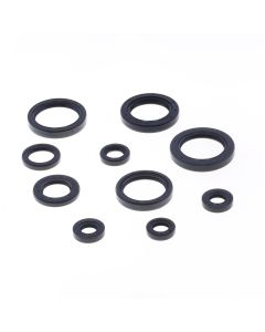 Athena Engine Oil Seal Kit P400210400179