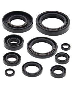 Vertex Oil Seal Kit 822172