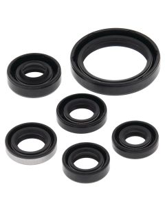 Vertex Oil Seal Kit 822334