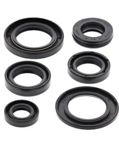 Vertex Oil Seal Kit 822337