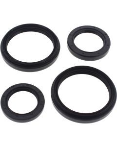 All Balls Rear Differential Seal Kit 25-2050-5