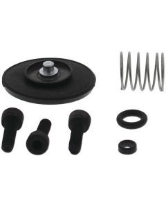 QuadBoss Accelerator Pump Kit - 53463011