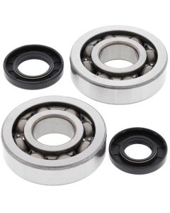 All Balls Racing Crank Shaft Bearing Kit 24-1047