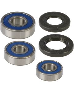 All Balls Rear Wheel Bearing Kit 25-1245