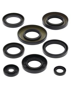 Vertex Oil Seal Kit 822253