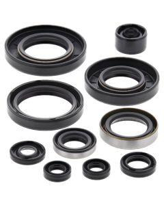 Vertex Oil Seal Kit 822257