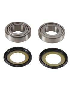 All Balls Racing Steering Bearing Kit 22-1078