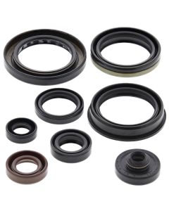 Vertex Oil Seal Kit 822346