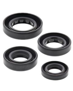 Vertex Oil Seal Kit 822179