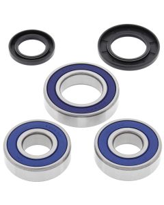 All Balls Racing Rear Wheel Bearing Kit 25-1110