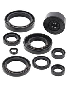 Vertex Oil Seal Kit 822119