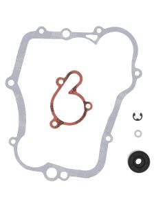 Vertex Water Pump Rebuild Kit 821613
