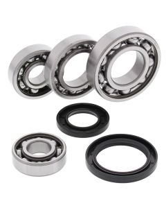All Balls Racing Rear Differential Bearing And Seal Kit 25-2017