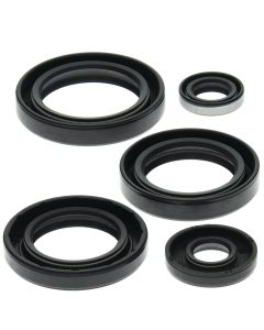 Vertex Oil Seal Kit 822213
