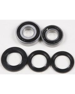 Pivot Works - PWRWK-Y08-421 - Wheel Bearing Kit