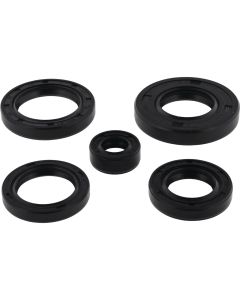 Vertex Oil Seal Kit 822343