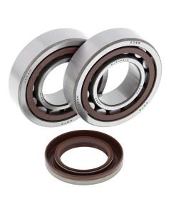 All Balls Racing Crank Shaft Bearing Kit 24-1106