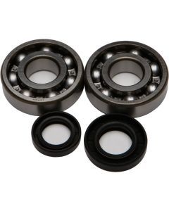 All Balls Crank Bearing And Seal Kit 24-1002