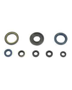 Athena Engine Oil Seal Kit P400270400033