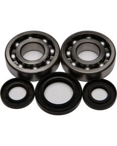 All Balls Crank Bearing And Seal Kit 24-1028