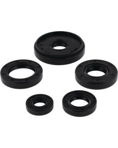 Vertex Oil Seal Kit 822196