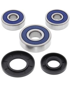 LION_25-1304-PIVOT-WORKS-1225-A