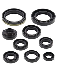 Vertex Oil Seal Kit 822131