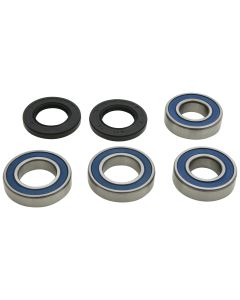 Pivot Works Rear Premium Wheel Bearing Kit 25-1807