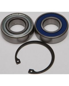 All Balls Drive Shaft Bearing and Seal Kit (Lower Shaft - Track) 14-1069