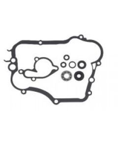 Psychic Water Pump Repair Kit MX-10261