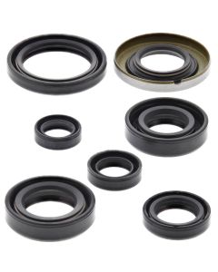 Vertex Oil Seal Kit 822160