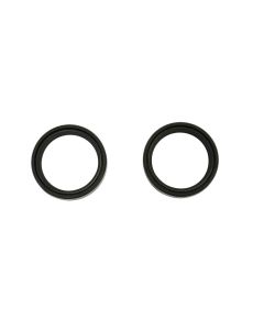 Athena Fork Seals MGR-RSA P40FORK455157