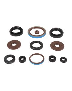 Vertex Oil Seal Kit 822385