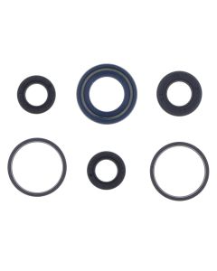 Athena Engine Oil Seal Kit P400420400050